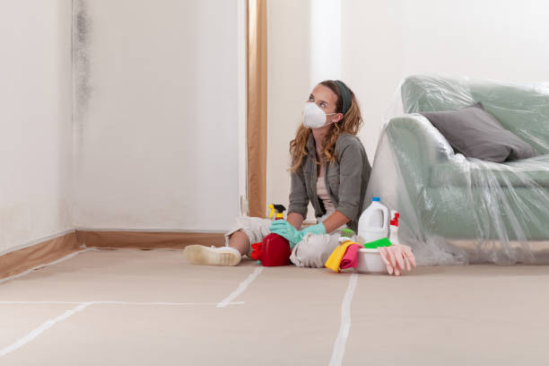 Reliable Basement Mold Remediation contractor in Three Oaks, MI by 24 Hour Mold Removal